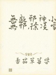 无敌邪神小说柳无邪,徐凌雪 小说封面