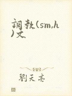 调教(sm,h)文封面