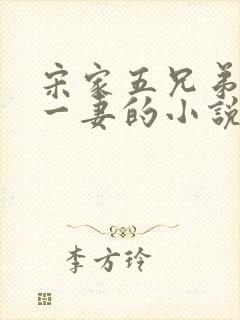 宋家五兄弟共娶一妻的小说