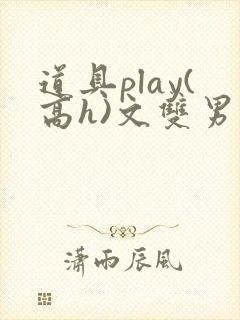 道具play(高h)文双男