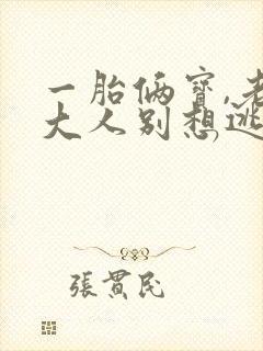 一胎俩宝,老婆大人别想逃小说txt