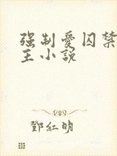 强制爱囚禁双男主小说封面