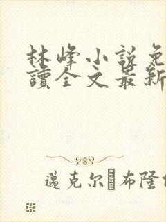 林峰小说免费阅读全文最新章节