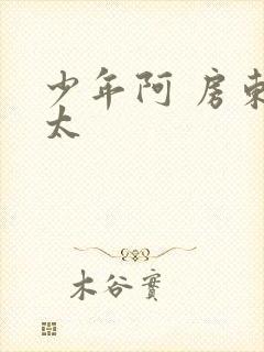 少年阿 房东太太