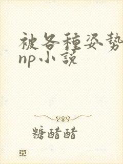 被各种姿势玩弄np小说