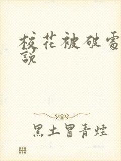 校花被破处的小说