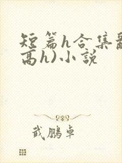 短篇h合集乱(高h)小说