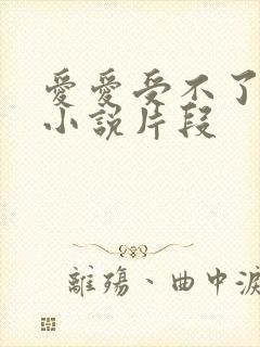 爱爱受不了高潮小说片段