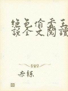 绝色偷香王佳小说全文阅读