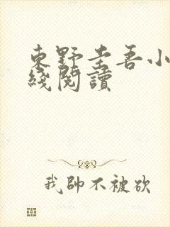 东野圭吾小说在线阅读封面