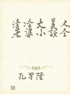 清冷大美人是我老婆小说全文阅读封面