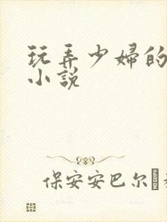 玩弄少妇的悲哀小说封面