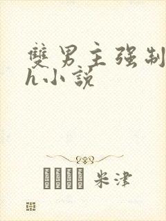 双男主强制爱高h小说