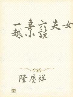 一妻六夫女主穿越小说