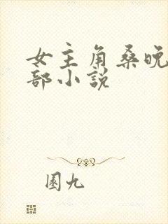 女主角桑晚是哪部小说封面