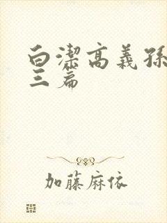 白洁高义孙倩陈三篇