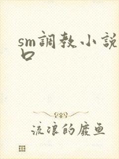 sm调教小说重口封面