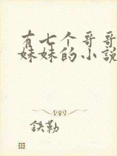 有七个哥哥一个妹妹的小说