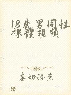 18岁男同性恋裸体视频
