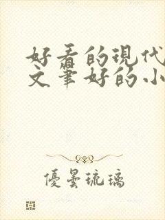 好看的现代言情文笔好的小说封面