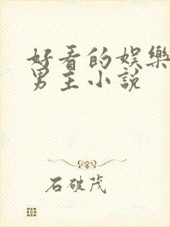 好看的娱乐圈双男主小说