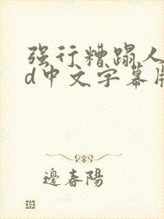 强行糟蹋人妻hd中文字幕版