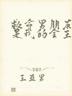 救命男朋友他哥是我的金主免费阅读封面