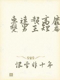 车速超高废文的双男主短篇小说推荐