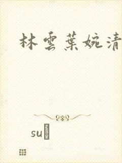 林云叶婉清小说