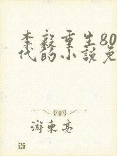 李毅重生80年代的小说免费阅读