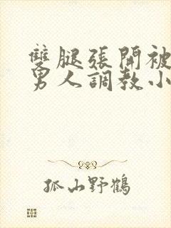 双腿张开被9个男人调教小说