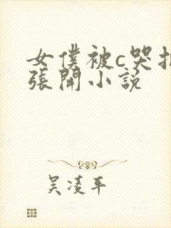 女仆被c哭把腿张开小说