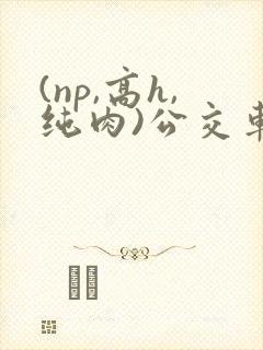 (np,高h,纯肉)公交车