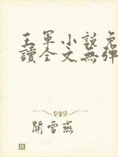 王军小说免费阅读全文无弹窗