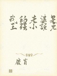 我的老婆是人妖王强小说免费阅读