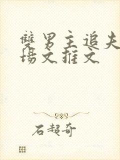 双男主追夫火葬场文推文