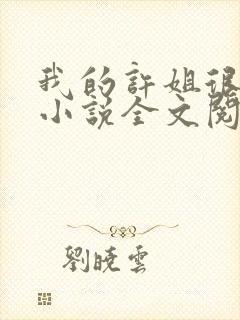 我的许姐很温柔小说全文阅读