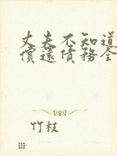 丈夫不知道妻子偿还债务全集观看封面