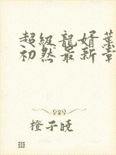 超级龙婿叶辰萧初然最新章节