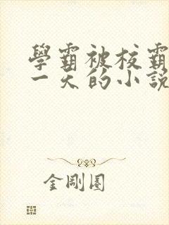 学霸被校霸罚了一天的小说