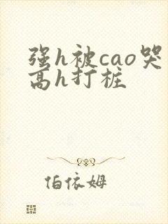 强h被cao哭高h打桩