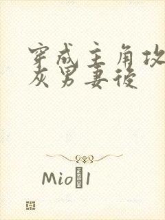 穿成主角攻的炮灰男妻后封面