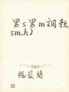 男s男m调教(sm,h)