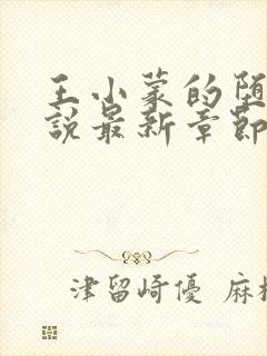 王小蒙的堕落小说最新章节更新时间