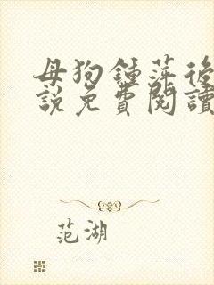 母狗钟萍后传小说免费阅读最新章节