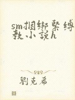 sm捆绑紧缚调教小说h