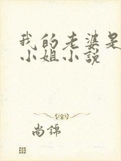 我的老婆是头牌小姐小说