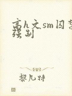 高h文sm囚禁强制封面