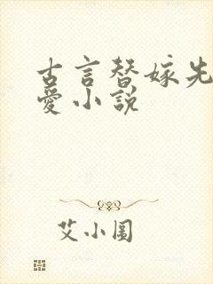 古言替嫁先婚后爱小说