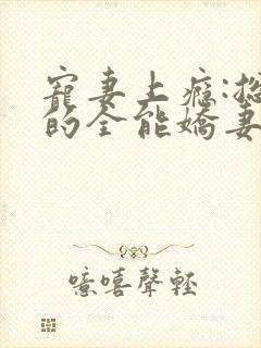 宠妻上瘾:总裁的全能娇妻